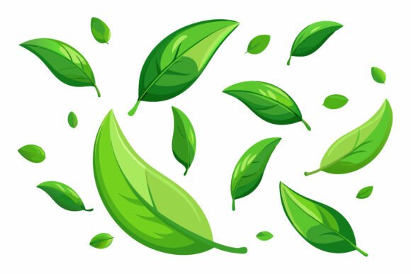 Olive Leaves: A Versatile AI EPS Illustration Set for Designers and Creators